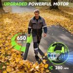 Cordless 650CFM Leaf Blower with Batteries and Charger