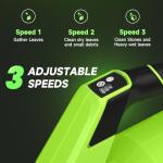 Cordless 650CFM Leaf Blower with Batteries and Charger