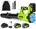 Cordless Electric Leaf Blower with 2 Batteries