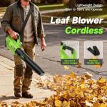 Cordless 650CFM Leaf Blower with Batteries and Charger