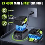 Cordless Electric Leaf Blower with 2 Batteries