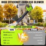 Cordless Electric Leaf Blower with 2 Batteries