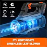 SENIX 20V Cordless Leaf Blower with Cruise Control