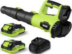 21V Cordless Electric Leaf Blower with Batteries