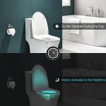 Motion-Activated LED Toilet Bowl Night Light