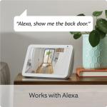 Ring Indoor Pet Camera with Two-Way Talk