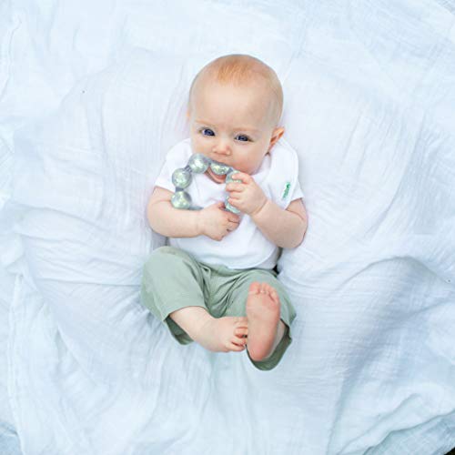 green sprouts Ring Cool Soothing Teether from i Play