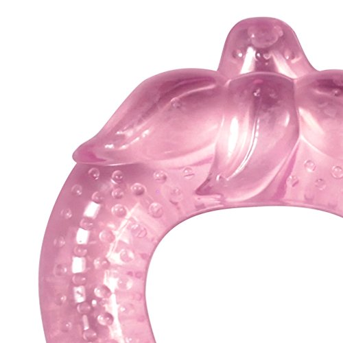 Green Sprouts Fruit Cooling Teether | Gum Soothing & Oral Health