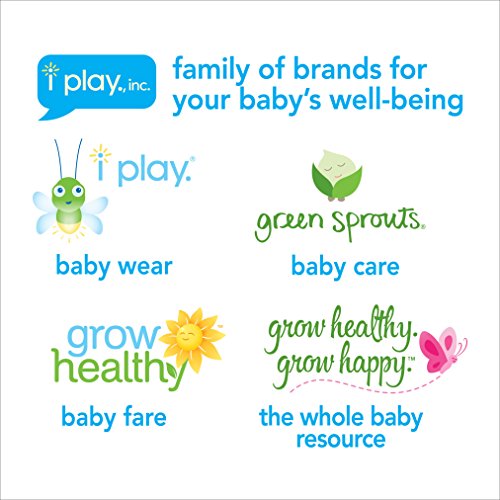 Green Sprouts Fruit Cooling Teether | Gum Soothing & Oral Health