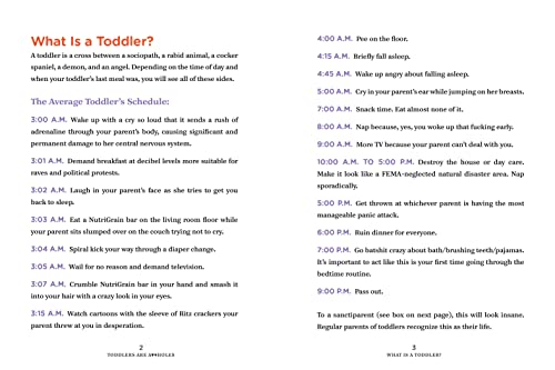 Don't Blame Yourself: Toddlers Can Be A**holes