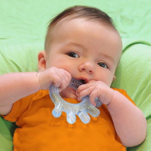Green Sprouts Cooling Teether | Soothes & Develops