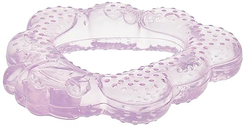 Green Sprouts Fruit Teether | Soothes Gums & Boosts Oral Health
