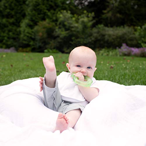 green sprouts Fruit Cooling Teether | Soothes & Promotes Healthy Oral Development