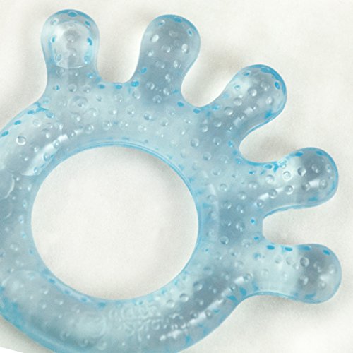 Green Sprouts Cooling Teether | Soothes & Develops