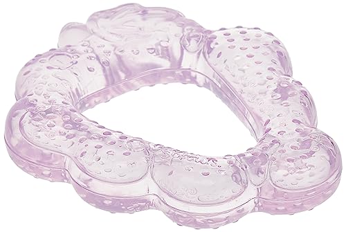 Green Sprouts Fruit Teether | Soothes Gums & Boosts Oral Health
