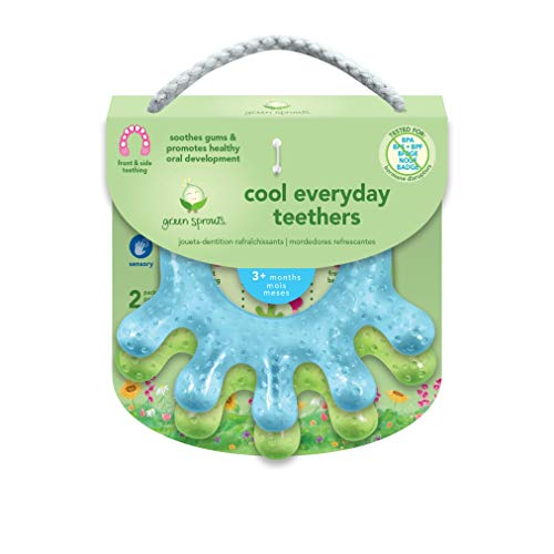 Green Sprouts Cooling Teether | Soothes & Develops