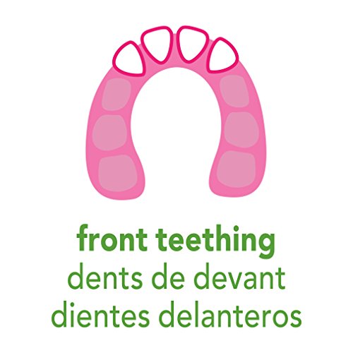 green sprouts Fruit Cooling Teether | Soothes & Promotes Healthy Oral Development