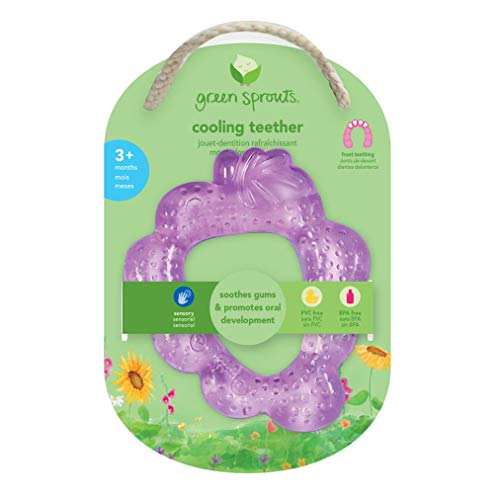 Green Sprouts Fruit Teether | Soothes Gums & Boosts Oral Health