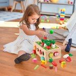Montessori Wooden Shape Sorting Toy for Toddlers
