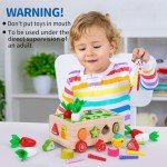 Montessori Wooden Shape Sorting Toy for Toddlers