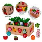 Montessori Wooden Shape Sorting Toy for Toddlers