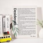 Desiderata Motivational Canvas Wall Art Print