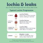 Comfortable Incontinence Underwear for Women, 14 Count