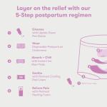 Frida Mom Donut Pillow for Postpartum Comfort