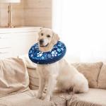 Soft Inflatable Donut Collar for Dog Recovery