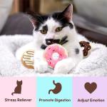 6 Pack Donut Catnip Toys for Kittens