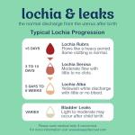 Comfortable Incontinence Underwear for Women, 14 Count