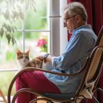 Comfort Donut Pillow for Pain Relief and Support