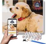 Personalized Paint by Numbers Kit for Adults