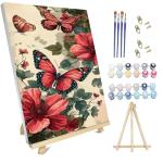 DIY Paint by Number Butterfly Art Set