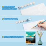 6 Pack Paint by Number Kits for Adults