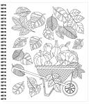 Large Print Garden Coloring Book for Easy Framing