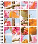 Garden Sticker by Number - Easy Art Fun