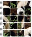 Zoo Animals Sticker by Number Art Kit