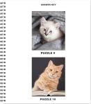 Sticker by Number: Cats & Kittens Art Set