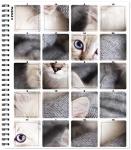 Sticker by Number: Cats & Kittens Art Set