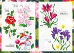 Botanical Sticker Therapy Activity Book for Seniors