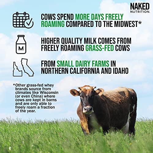 Naked Whey 1LB - All Natural Grass Fed Whey Protein Powder, Organic Chocolate, and Coconut Sugar - No GMO, No Soy, and Gluten Free, Aid Growth and Recovery - 12 Servings
