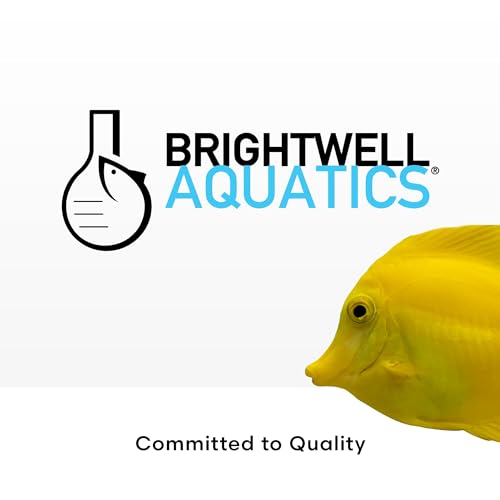 Brightwell Aquatics CoralAmino - Amino Acid Complex for Coral Coloration & Growth, 2 Liter