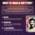 Vintage Build â Post Workout Recovery & Muscle Building Drink â Supports Muscular Strengh & Growth + Reduces Soreness â with Creatine Monohydrate, BCAAs, & L-Glutamine â Natural Flavors â 30 Servings
