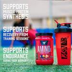 BSN Amino X Muscle Recovery & Endurance Powder with BCAAs, 10 Grams of Amino Acids, Keto Friendly, Caffeine Free, Flavor: Grape, 30 Servings (Packaging May Vary)