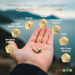 Livegood Himalayan Shilajit & Sea Moss Capsules for Energy