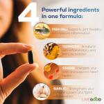 LIVEGOOD Omega 3 Fish Oil with CoQ10 & Turmeric