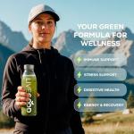 LiveGood Organic Super Greens Powder for Energy