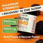 LIVEGOOD Creatine + HMB Powder for Strength & Recovery