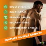 LIVEGOOD Creatine + HMB Powder for Strength & Recovery